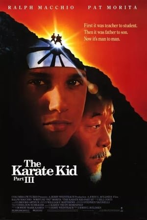 კარატისტი ბიჭი 3 The Karate Kid Part III
