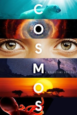 კოსმოსი: შესაძლო სამყაროები Cossmos: Possible Worlds