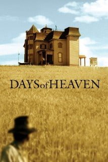 მკის დღეები Days of Heaven