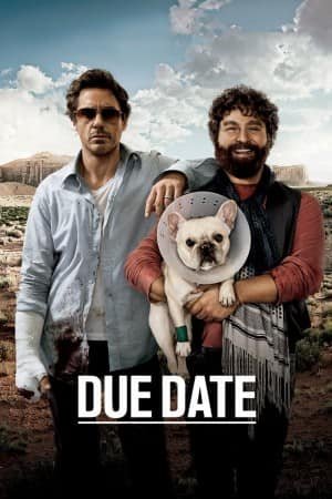 დანიშნული დრო Due Date