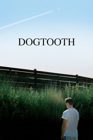 ეშვი Dogtooth