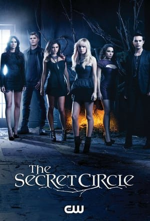 საიდუმლო წრე The Secret Circle