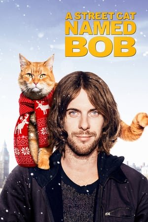 ქუჩის კატა სახელად ბობი A Street Cat Named Bob