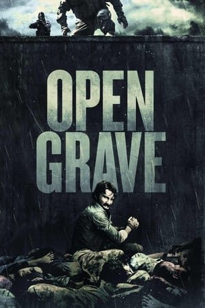 ღია საფლავი Open Grave