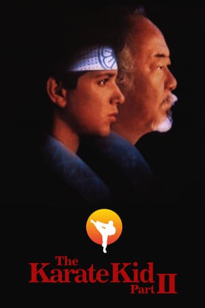 კარატისტი ბიჭი 2 The Karate Kid Part II