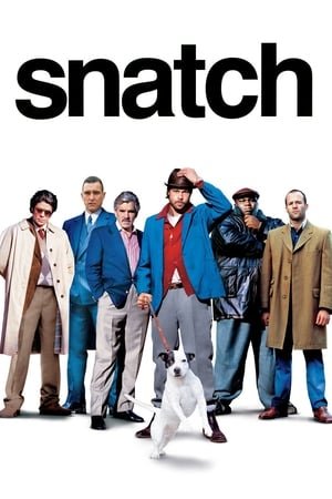 დიდი ფსონი Snatch