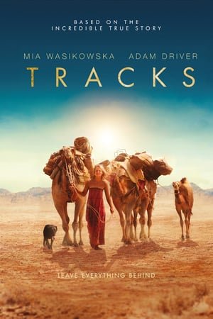 გზები TRACKS