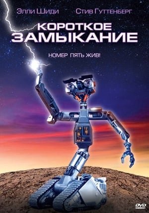 მოკლე ჩართვა