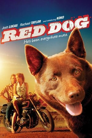 წითელი ძაღლი Red Dog