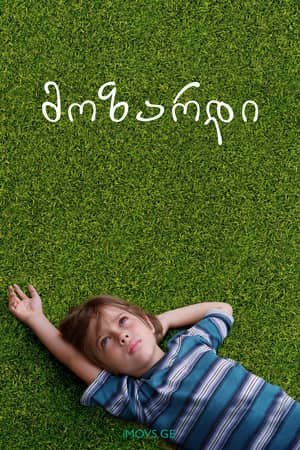 მოზარდი Boyhood