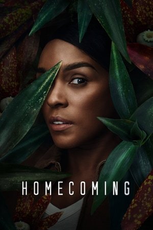 დაბრუნება Homecoming