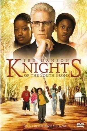 სამხრეთ ბრონქსის რაინდები Knights of the South Bronx