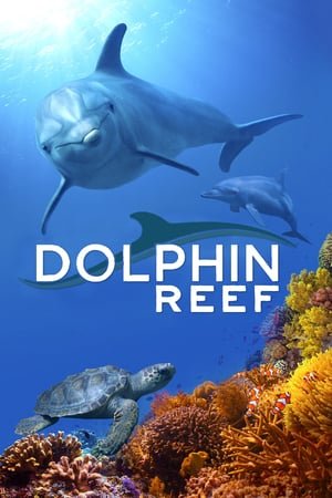 დელფინის რიფი Dolphin Reef