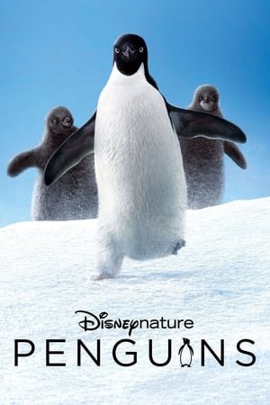 პინგვინები Penguins