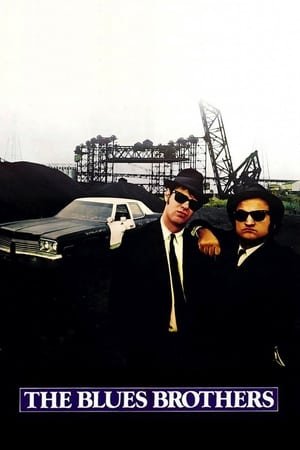 ძმები ბლუზები The Blues Brothers