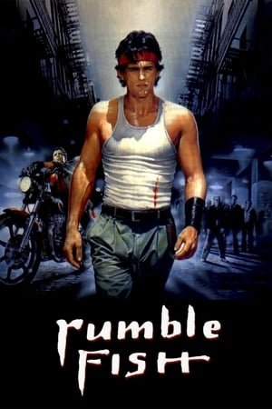 მებრძოლი თევზი Rumble Fish