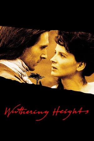 ქარიშხლიანი უღელტეხილი Wuthering Heights